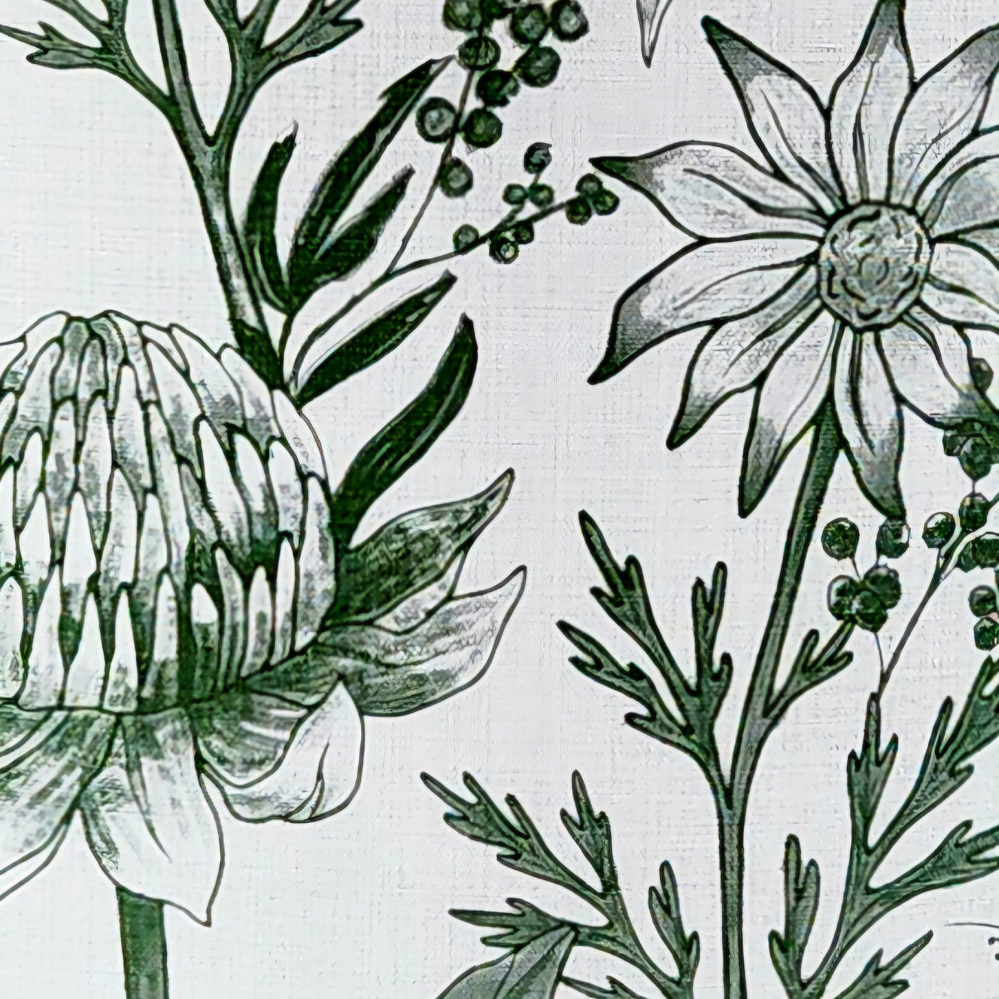 "Banksia Belle" Lampshade